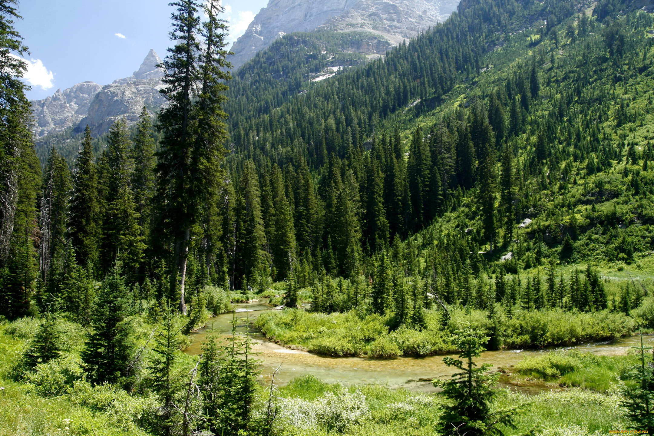 , , usa, wyoming, cascade, canyon, grand, teton, national, park